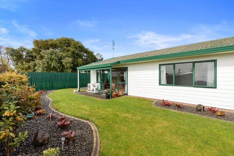 Photo of property in 591b Maunganui Road, Mount Maunganui, 3116