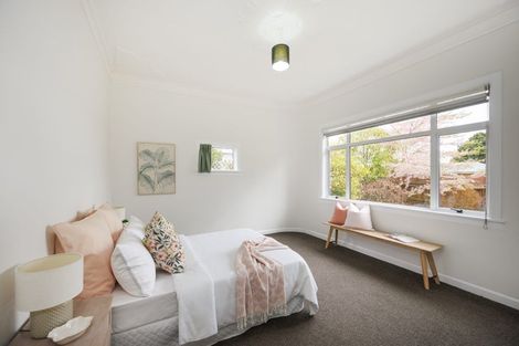 Photo of property in 26 Limbrick Street, Terrace End, Palmerston North, 4410