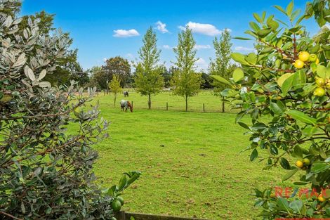 Photo of property in 50 Draffin Road, Poroti, Whangarei, 0179