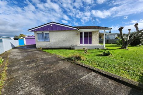 Photo of property in 28 Braemar Street, Levin, 5510