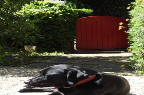 Photo of property in 10a Wharfe Street, South Hill, Oamaru, 9400