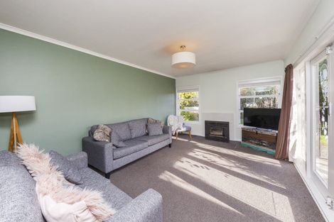 Photo of property in 17 Manawatu Street, Hokowhitu, Palmerston North, 4410