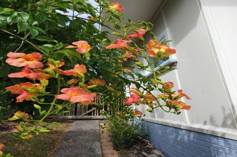 Photo of property in 61 Scott Road, Tamaterau, Whangarei, 0174