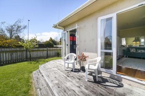 Photo of property in 113 Waterloo Crescent, Hokowhitu, Palmerston North, 4410