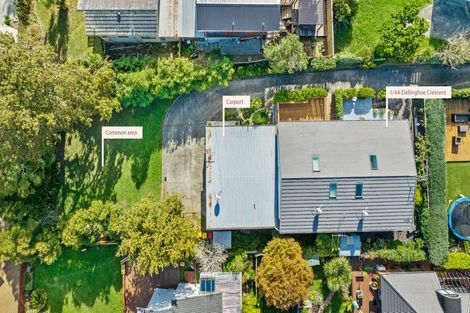 Photo of property in 1/4a Dallinghoe Crescent, Milford, Auckland, 0620