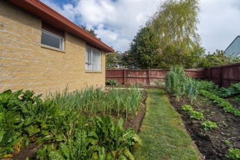 Photo of property in 66 Vivian Street, Burwood, Christchurch, 8083