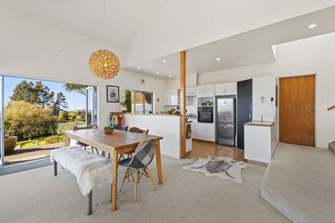 Photo of property in 499 Wainui Road South, Whakamarama, Tauranga, 3180