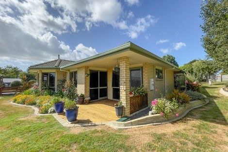 Photo of property in 24 Banks Road, Matamata, 3473