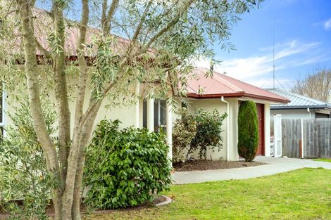 Photo of property in 28 Cashmere Grove, Witherlea, Blenheim, 7201