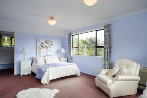 Photo of property in 95 Opoho Road, Opoho, Dunedin, 9010