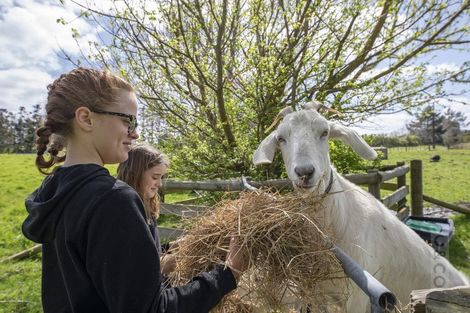 Photo of property in 30 Riverland Road, Kumeu, 0892