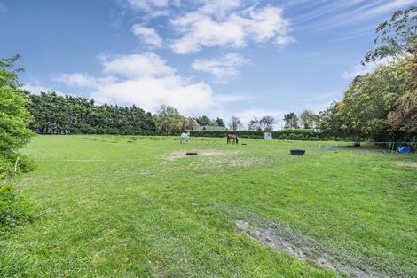 Photo of property in 2 Sarsfield Street, Southbridge, 7602