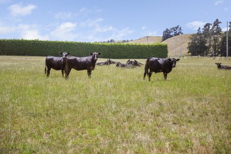 Photo of property in 1944 State Highway 63, Wairau Valley, Blenheim, 7271