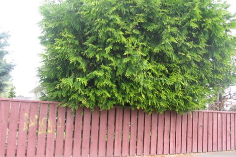 Photo of property in 171 Monrad Street, Highbury, Palmerston North, 4412