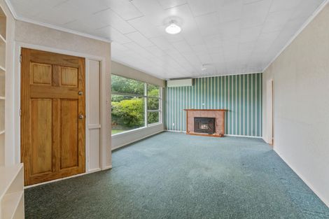 Photo of property in 9 Newell Place, Putaruru, 3411