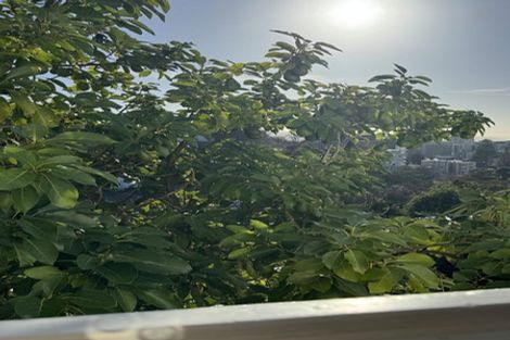 Photo of property in 32 Maarama Crescent, Aro Valley, Wellington, 6021