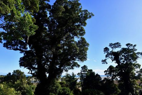 Photo of property in 4456g Karamea Highway, Karamea, 7893