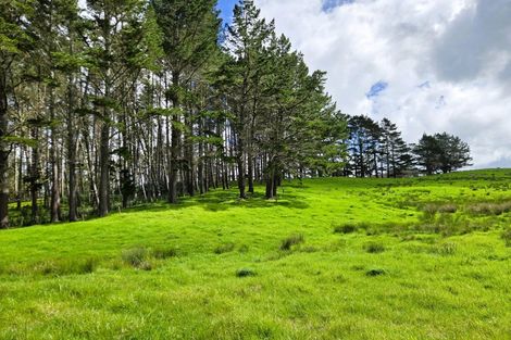 Photo of property in 42 Ford Road, Paparoa, Maungaturoto, 0583