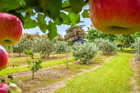 Photo of property in 244 Omaha Flats Road, Tawharanui Peninsula, Warkworth, 0986