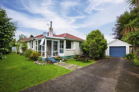 Photo of property in 28 Macarthur Street, Levin, 5510