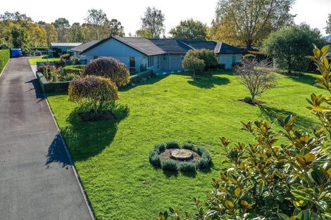 Photo of property in 16 Cameo Place, Matamata, 3472