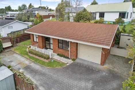 Photo of property in 129b Maungatapu Road, Maungatapu, Tauranga, 3112