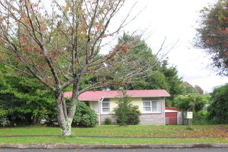 Photo of property in 146 Papanui Street, Tokoroa, 3420