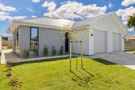Photo of property in 46 Hereford Street, Springvale, Whanganui, 4501