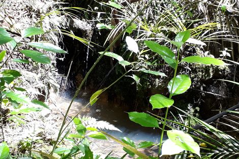 Photo of property in 296 Devich Road, Mangawhai, Kaiwaka, 0573