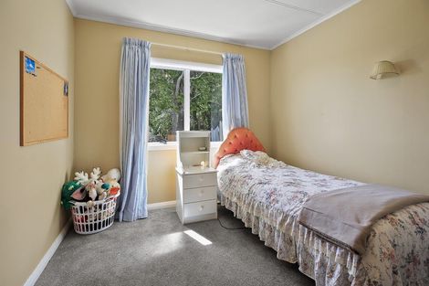 Photo of property in 103 Graham Street, Thames, 3500