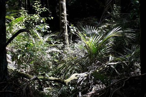 Photo of property in 296 Devich Road, Mangawhai, Kaiwaka, 0573