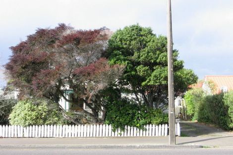 Photo of property in 482 Tremaine Avenue, Takaro, Palmerston North, 4410