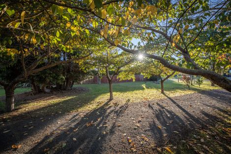 Photo of property in 5 Brighton Street, Leithfield, Amberley, 7481