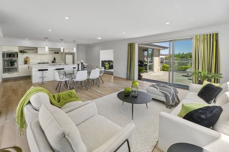 Photo of property in 17 Joyce Place, Richmond, 7020