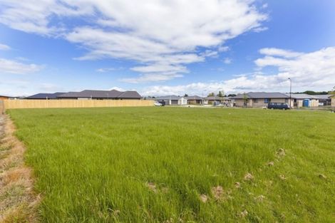 Photo of property in 20 Petries Road, Woodend, 7610