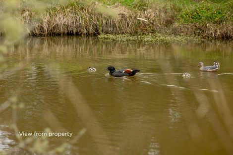 Photo of property in 263 Sunnyside Road, Coatesville, 0793