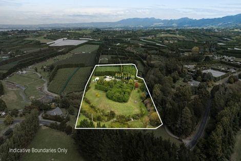 Photo of property in 80 Tuapiro Road, Tahawai, Katikati, 3170