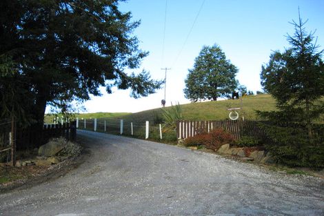 Photo of property in 51 Falcon Street, Palmerston, 9481