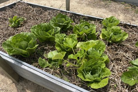 Photo of property in Dunkerron Farm, 852 Oneriri Road, Kaiwaka, 0573