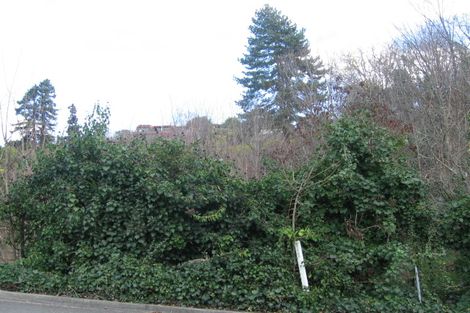 Photo of property in 9 Burlington Road, Hospital Hill, Napier, 4110