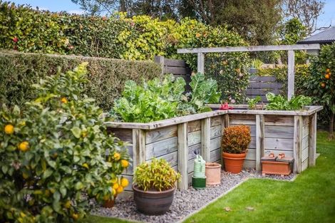 Photo of property in 10 Horopito Road, Waikanae, 5036