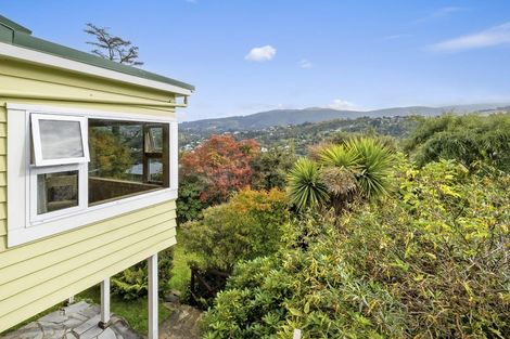 Photo of property in 43 Signal Hill Road, Opoho, Dunedin, 9010