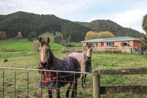 Photo of property in 452 Rawhiti Road, Te Aroha, 3392