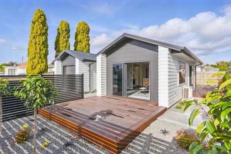 Photo of property in 42a Power Street, Levin, 5510