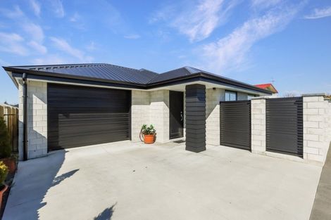 Photo of property in 36a Eton Street, Hampstead, Ashburton, 7700