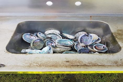 Photo of property in 2 Bolton Place, Hicks Bay, Tikitiki, 4087