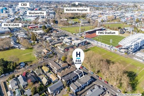 Photo of property in 44a Willoughby Street, Whitiora, Hamilton, 3200