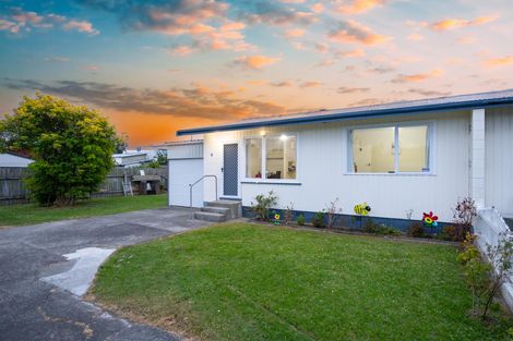 Photo of property in 1/145 College Street, Awapuni, Palmerston North, 4412