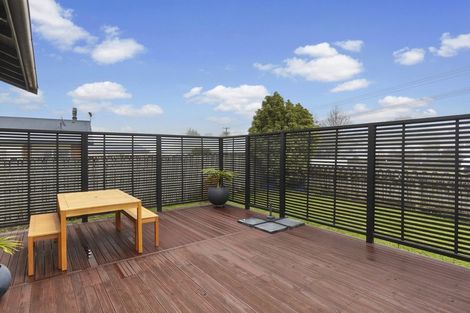 Photo of property in 53 Snell Street, Morrinsville, 3300