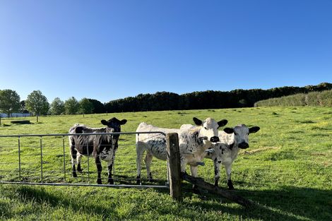 Photo of property in 413 Te Ahu Ahu Road, Waimate North, Kaikohe, 0472